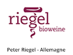 Peter Riegel